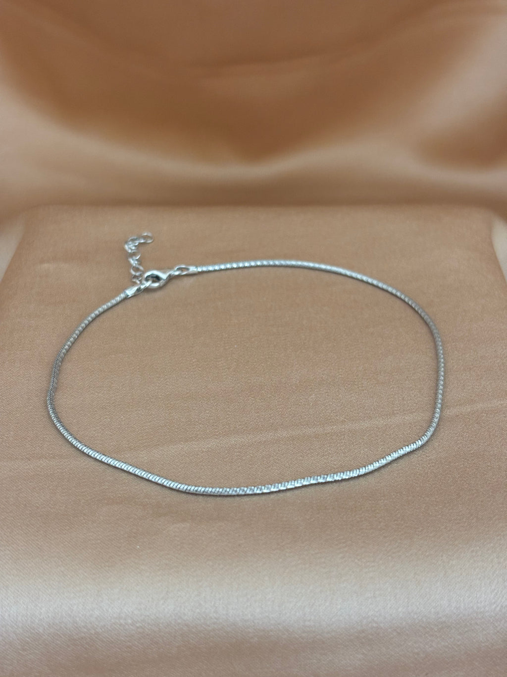 Sleek Snake Chain Anklet