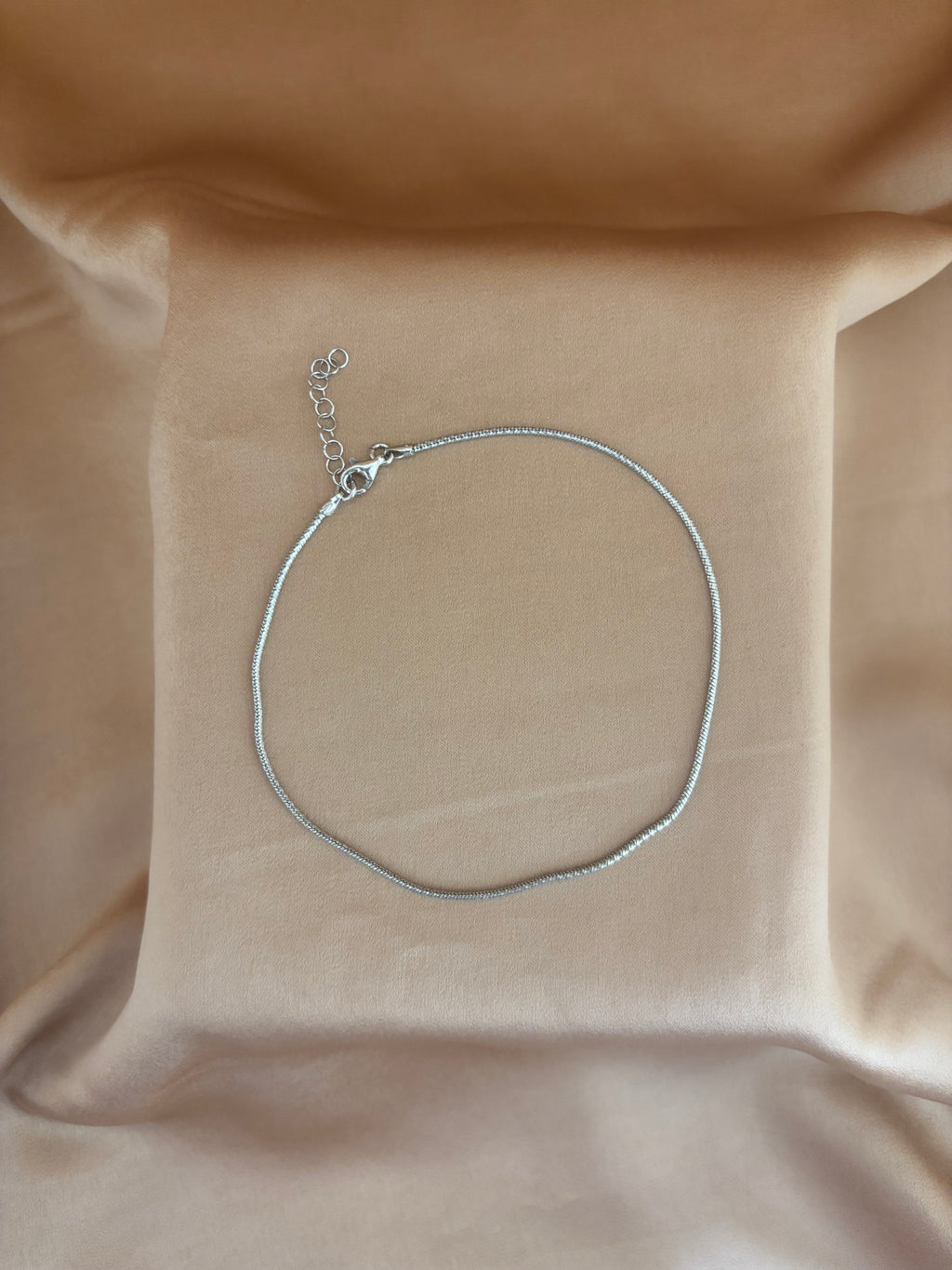 Sleek Snake Chain Anklet