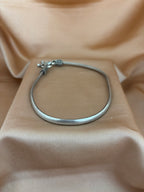 Classic Silver Snake Bone Anklet